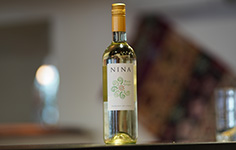 Pinot Grigio Nina Italy
